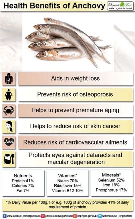 anchovy fish|Anchovies: Health Benefits, Nutrients per Serving  .